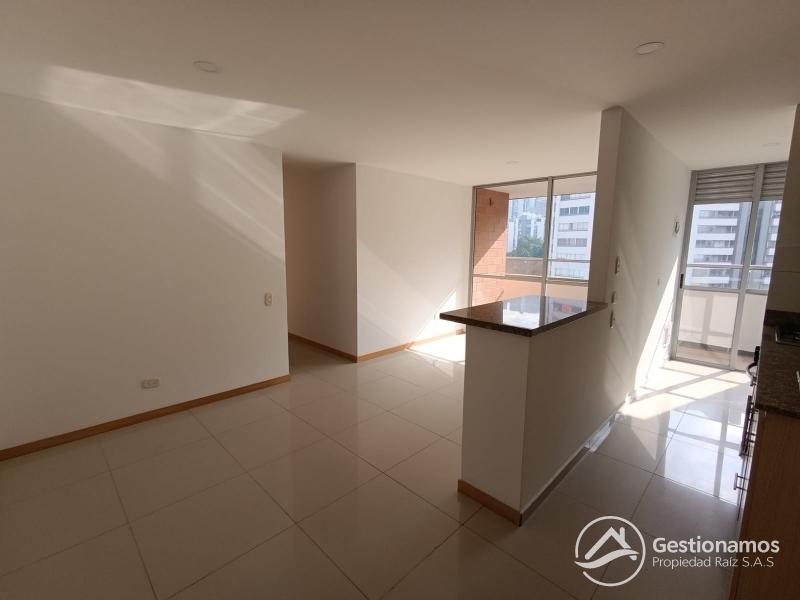 WhatsApp Image 2026-02-20 at 9.33.33 AM.jpeg